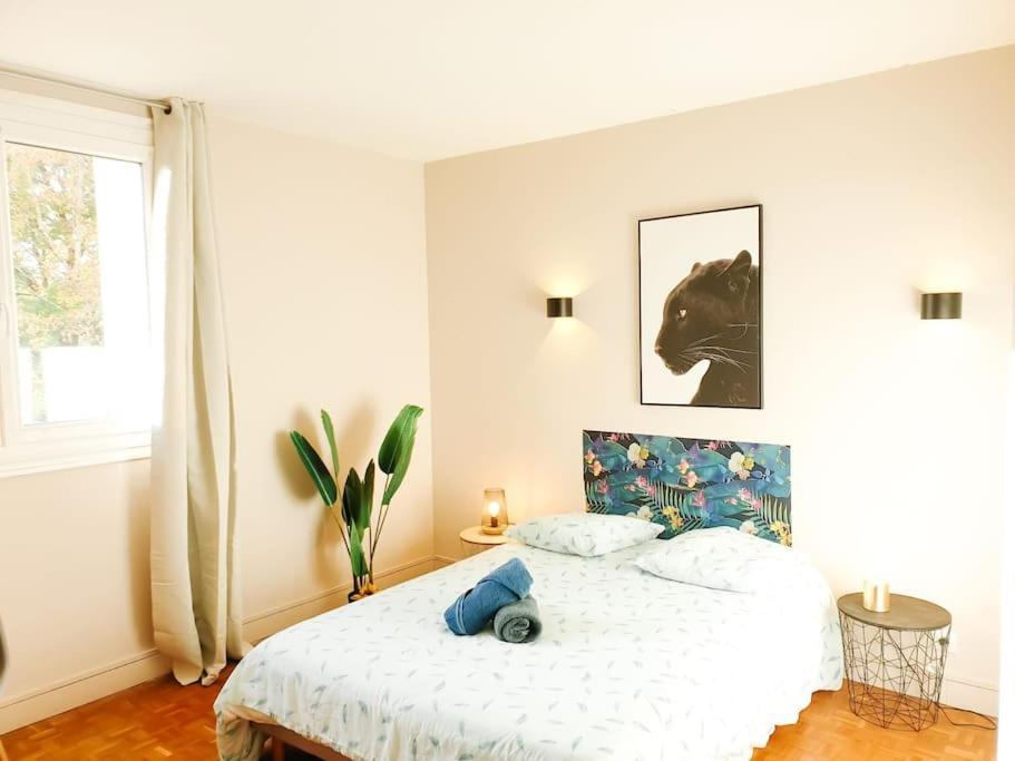 Cosy Mure 4Ch - Stationnement Gratuit Pau Extérieur photo